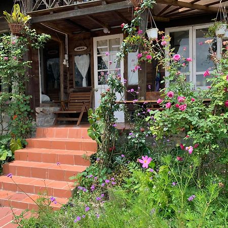 Romantic House On A Pine Hill Dalat Exterior photo