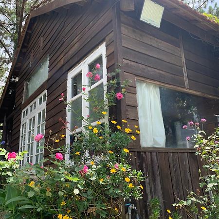 Romantic House On A Pine Hill Dalat Exterior photo