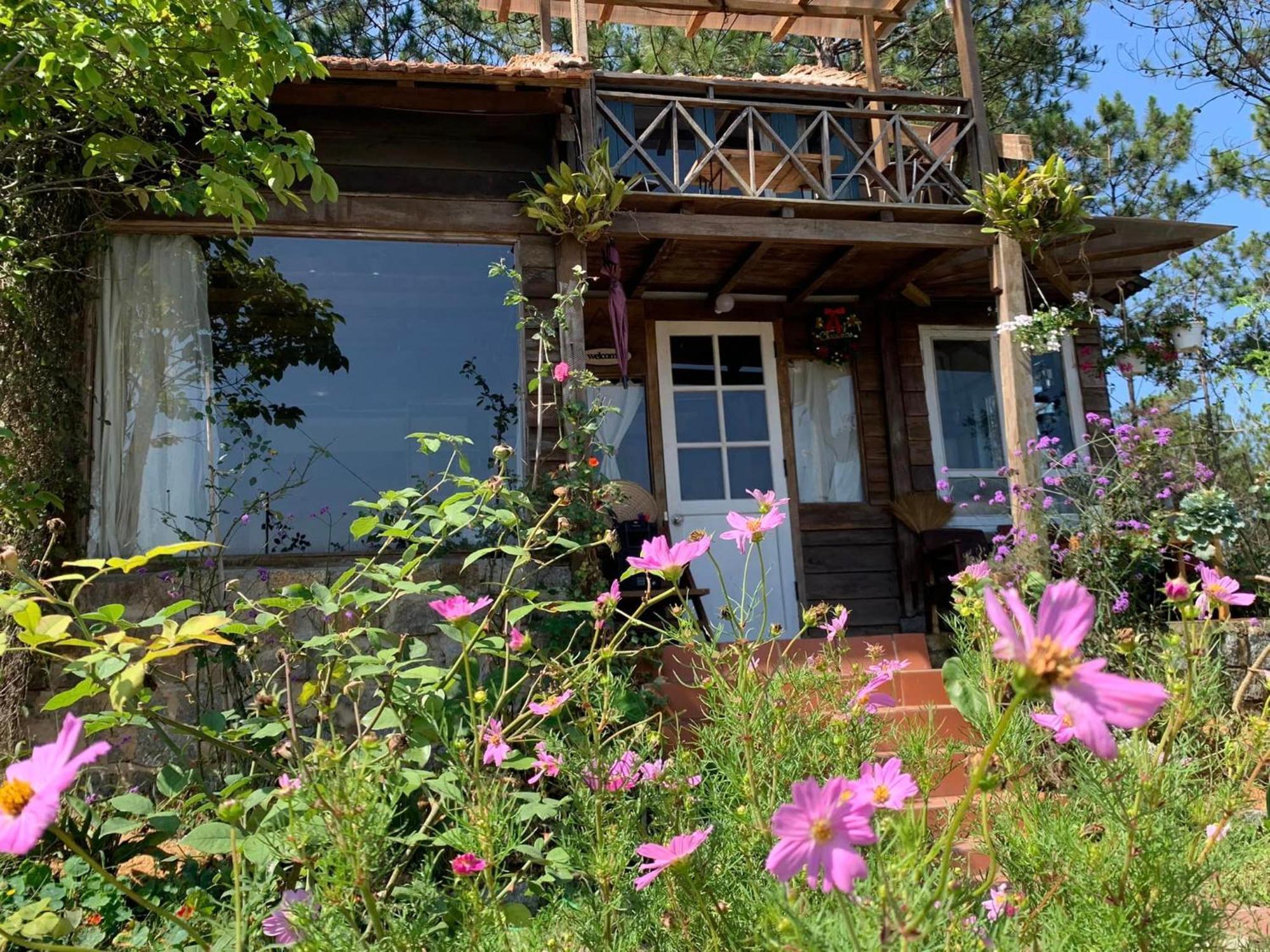 Romantic House On A Pine Hill Dalat Exterior photo