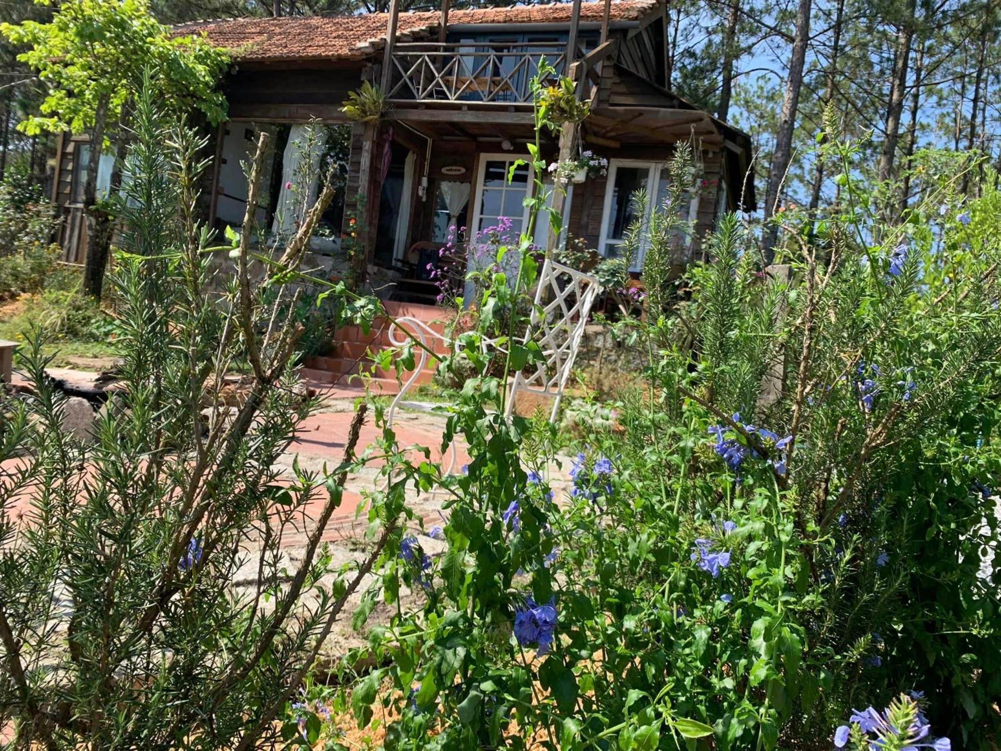 Romantic House On A Pine Hill Dalat Exterior photo