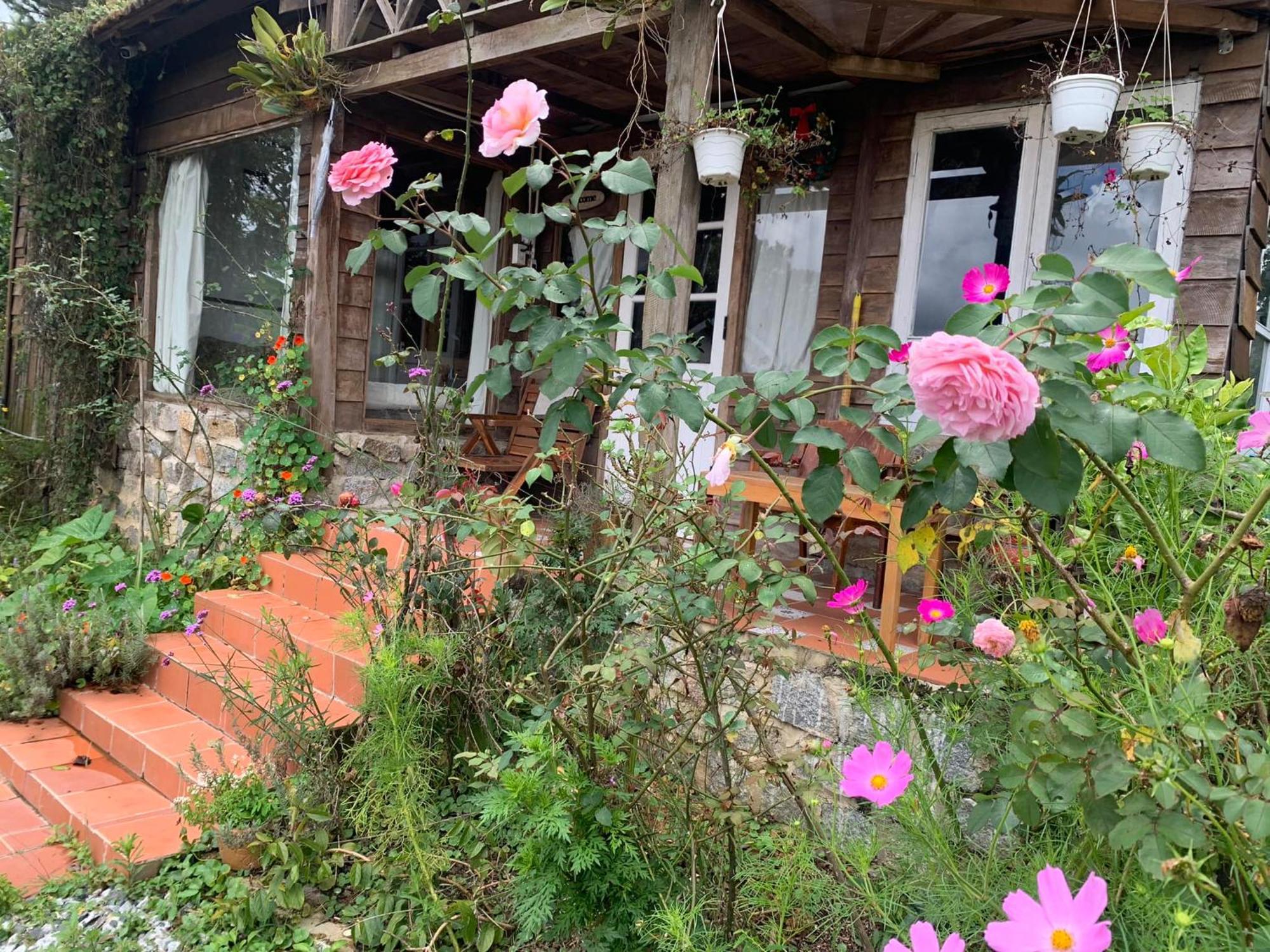 Romantic House On A Pine Hill Dalat Exterior photo
