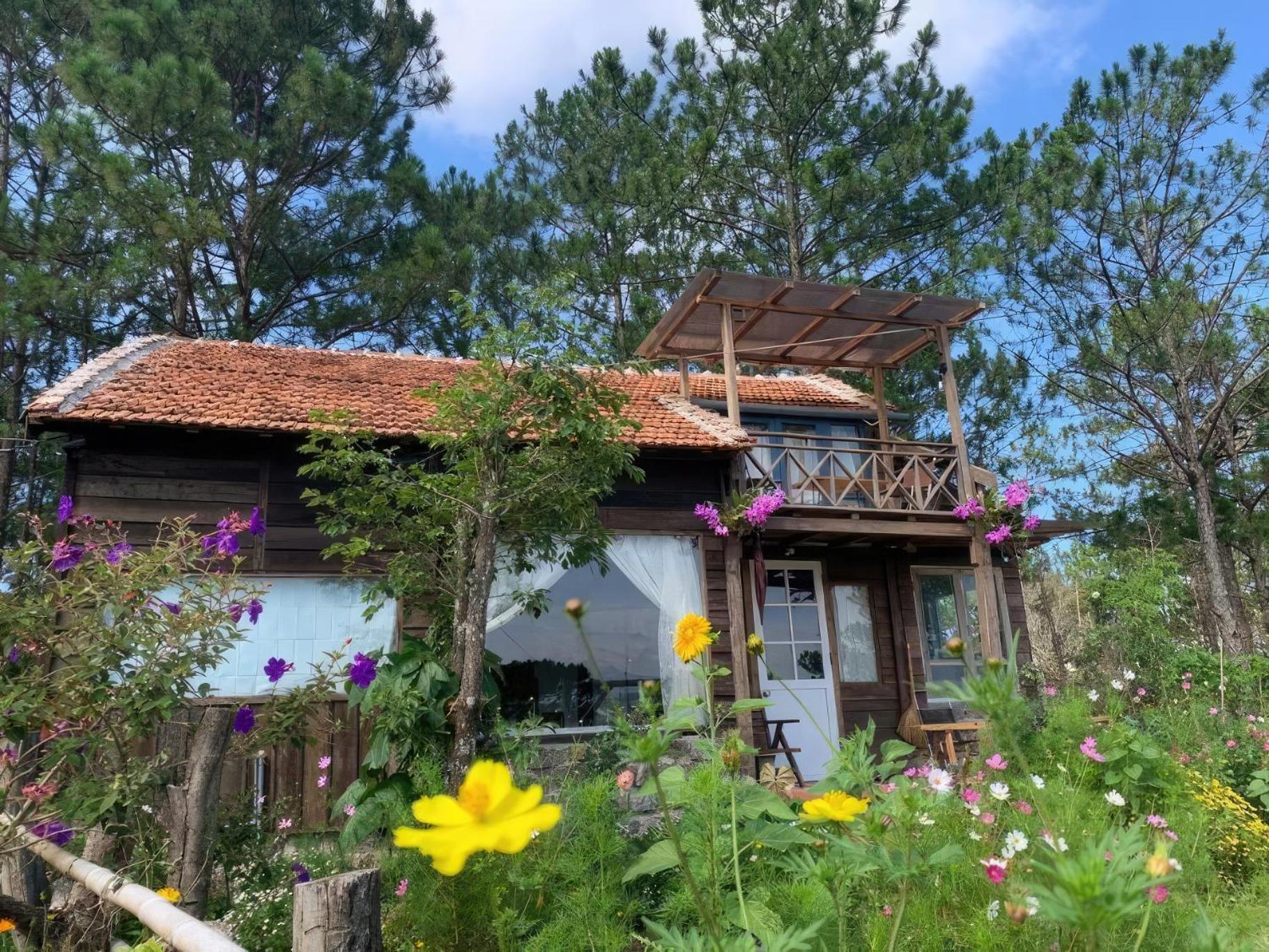 Romantic House On A Pine Hill Dalat Exterior photo