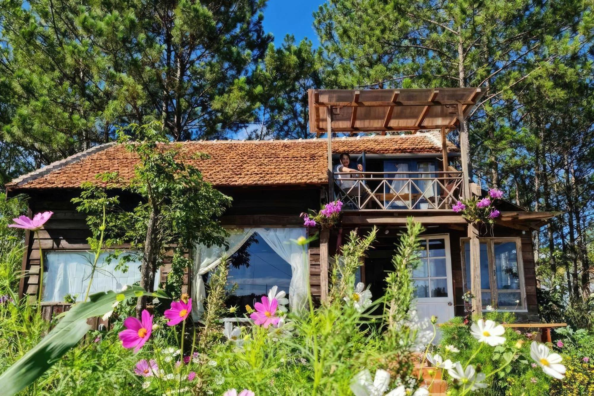 Romantic House On A Pine Hill Dalat Exterior photo