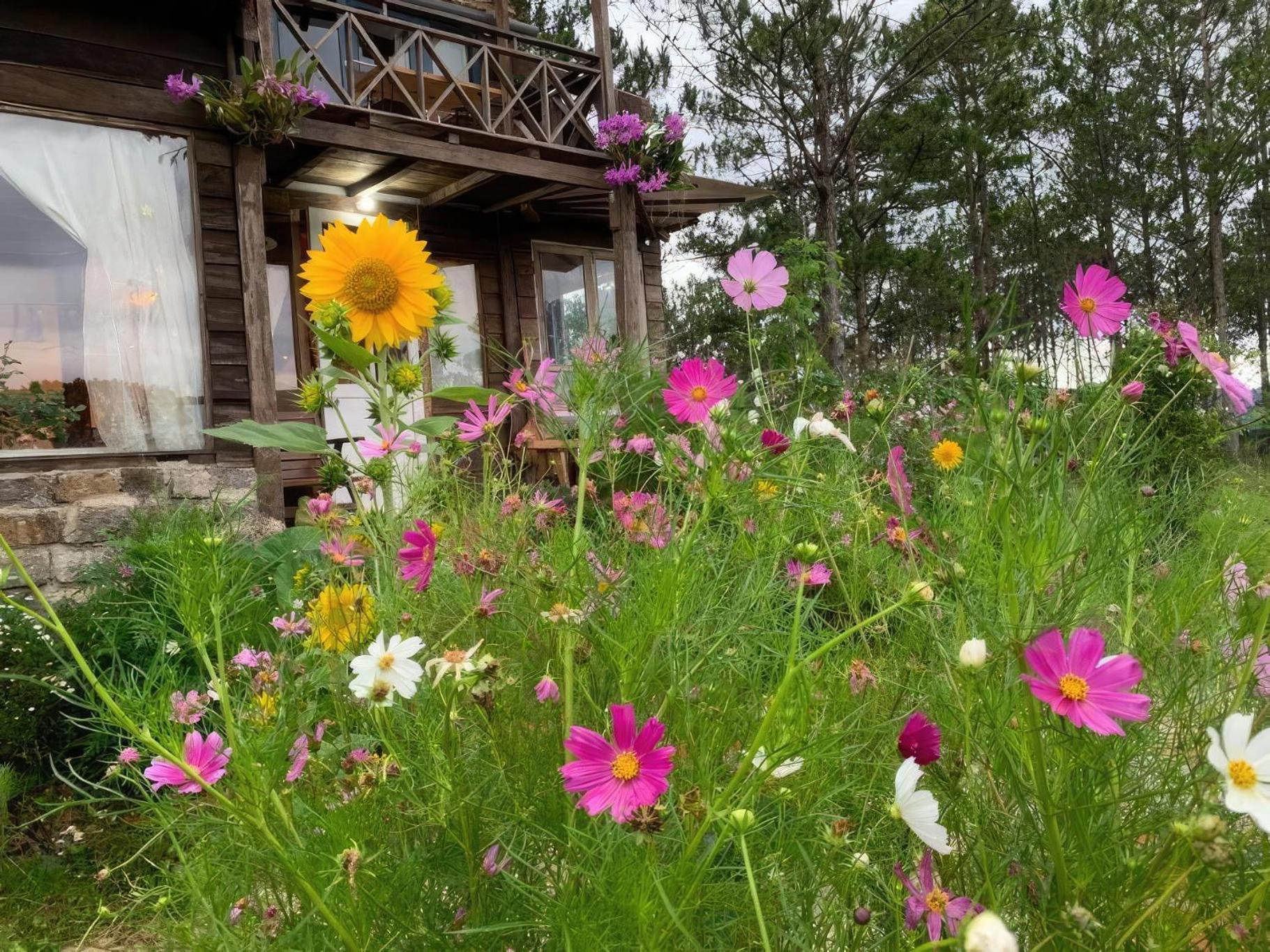 Romantic House On A Pine Hill Dalat Exterior photo