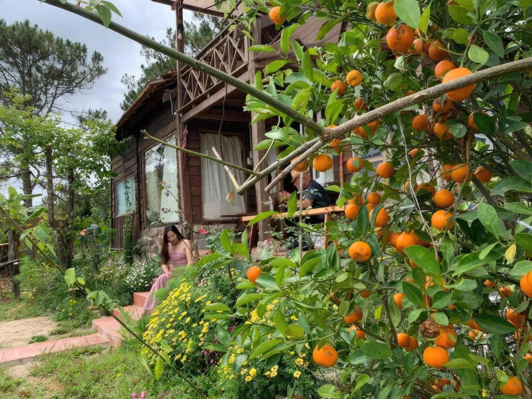 Romantic House On A Pine Hill Dalat Exterior photo