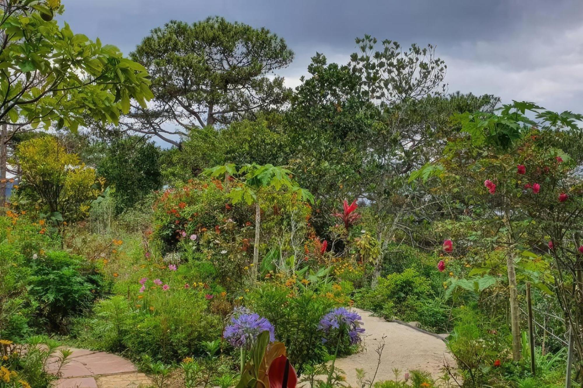 Romantic House On A Pine Hill Dalat Exterior photo