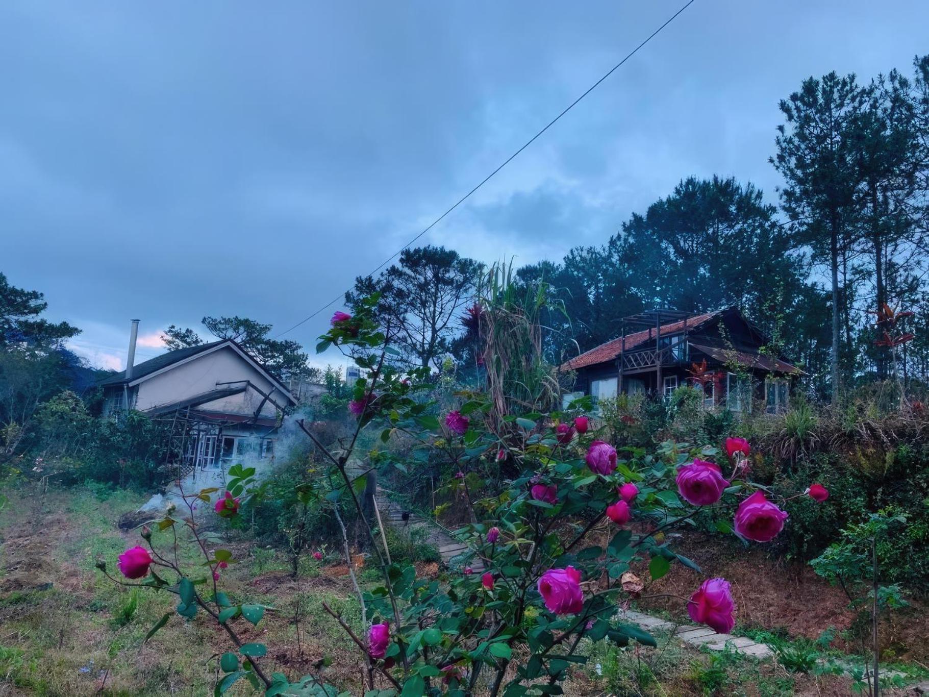Romantic House On A Pine Hill Dalat Exterior photo