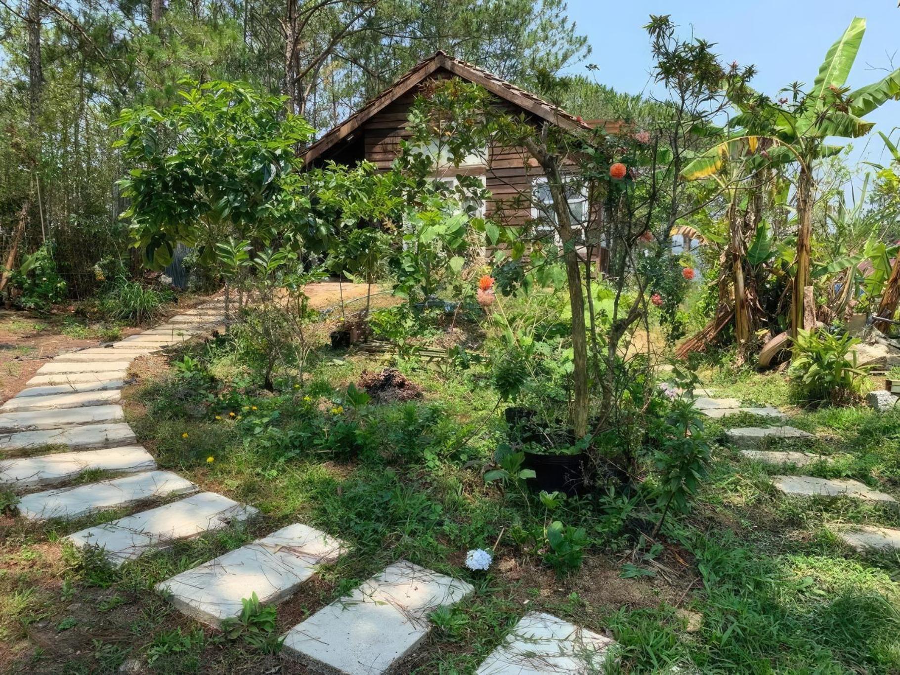 Romantic House On A Pine Hill Dalat Exterior photo