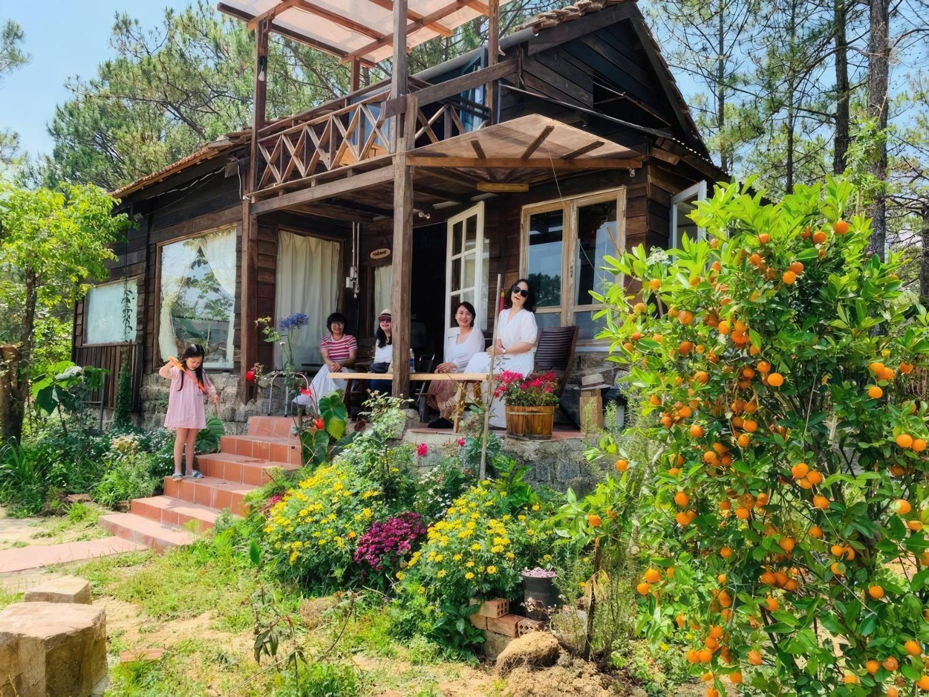 Romantic House On A Pine Hill Dalat Exterior photo