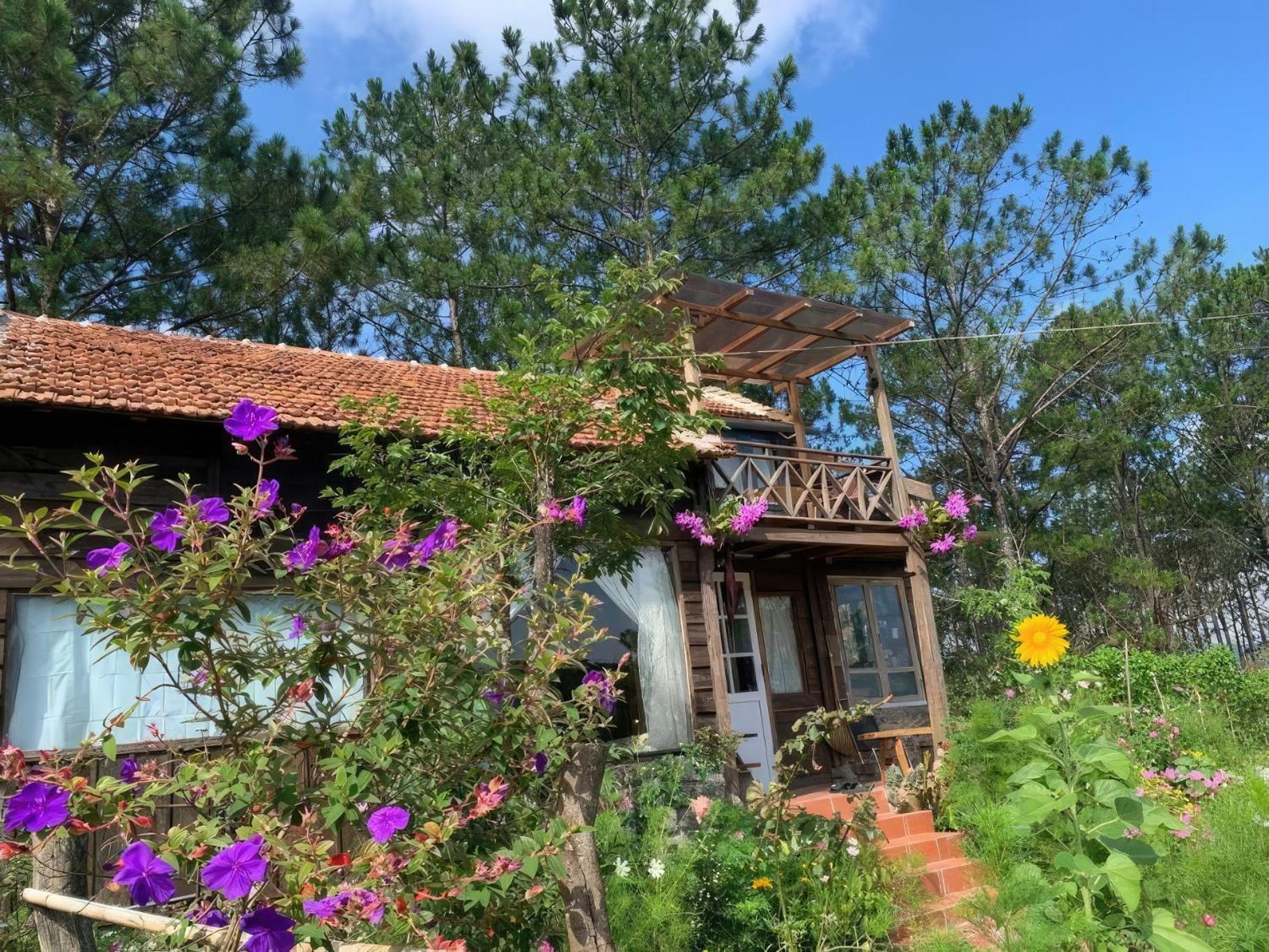 Romantic House On A Pine Hill Dalat Exterior photo