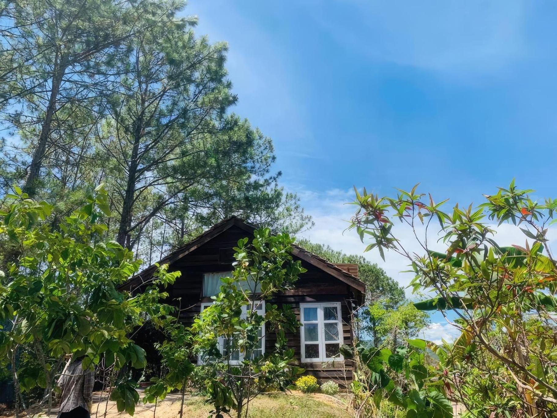 Romantic House On A Pine Hill Dalat Exterior photo