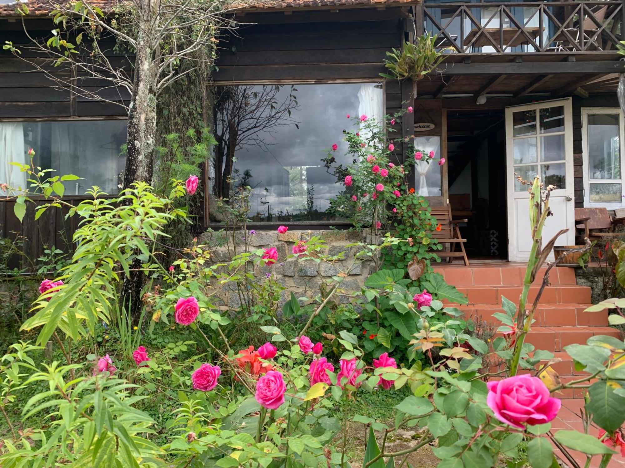 Romantic House On A Pine Hill Dalat Exterior photo