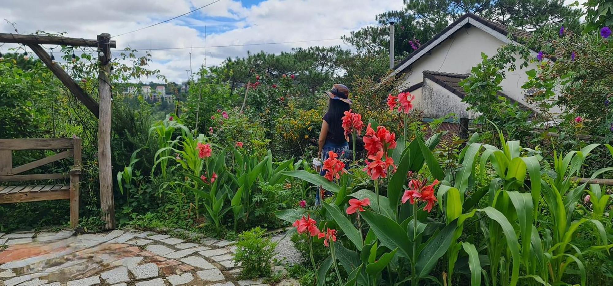 Romantic House On A Pine Hill Dalat Exterior photo