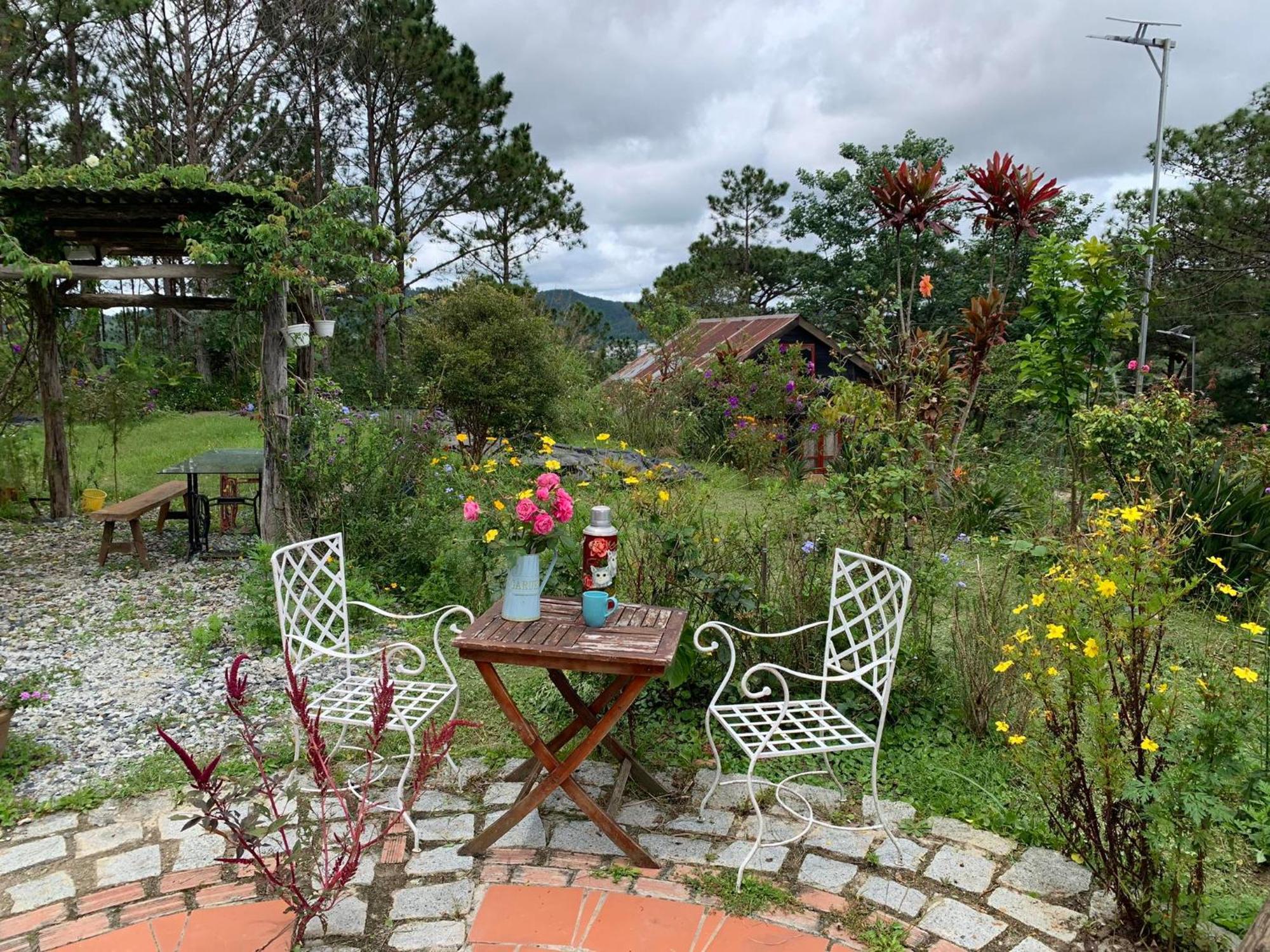 Romantic House On A Pine Hill Dalat Exterior photo