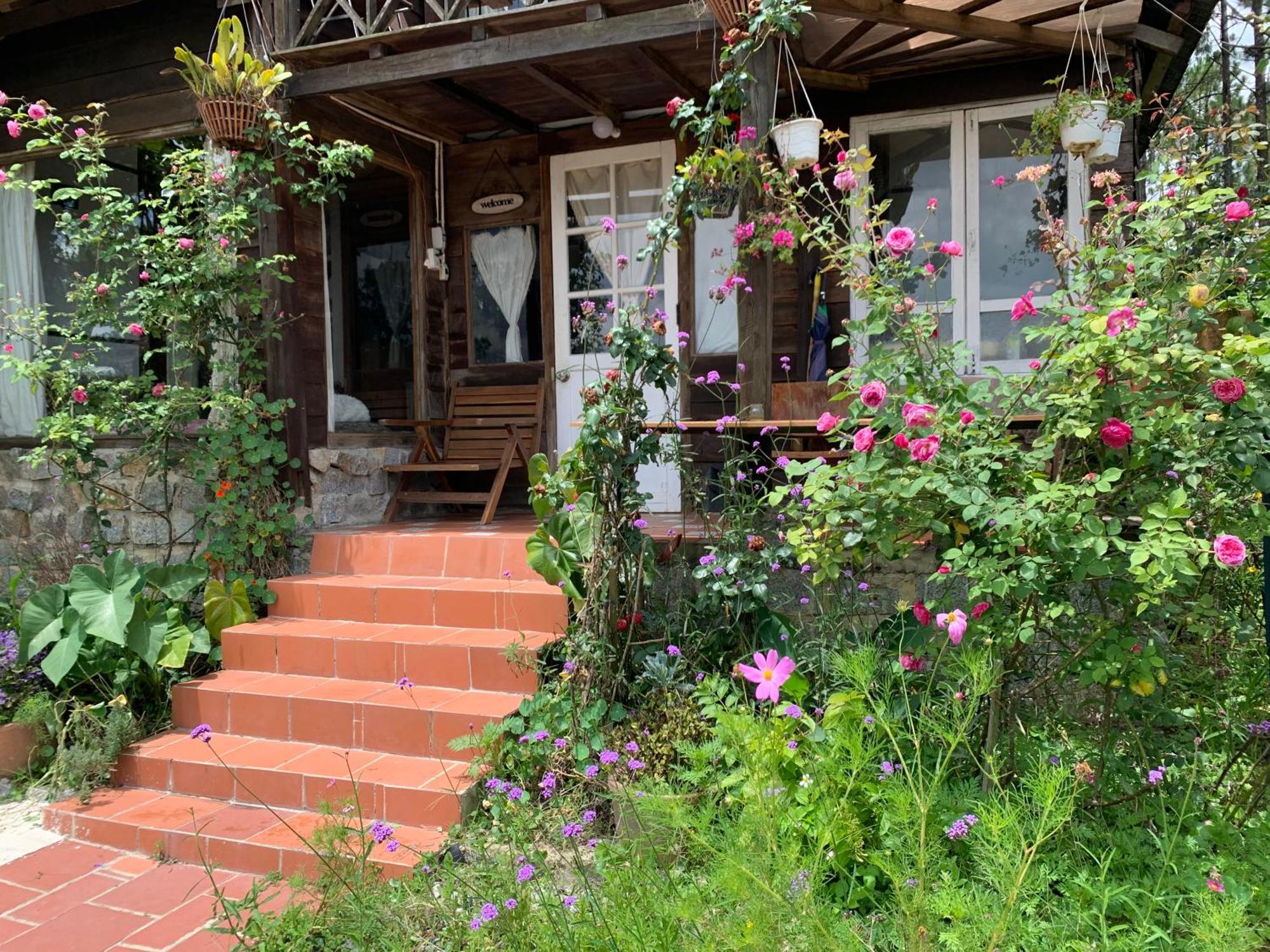 Romantic House On A Pine Hill Dalat Exterior photo