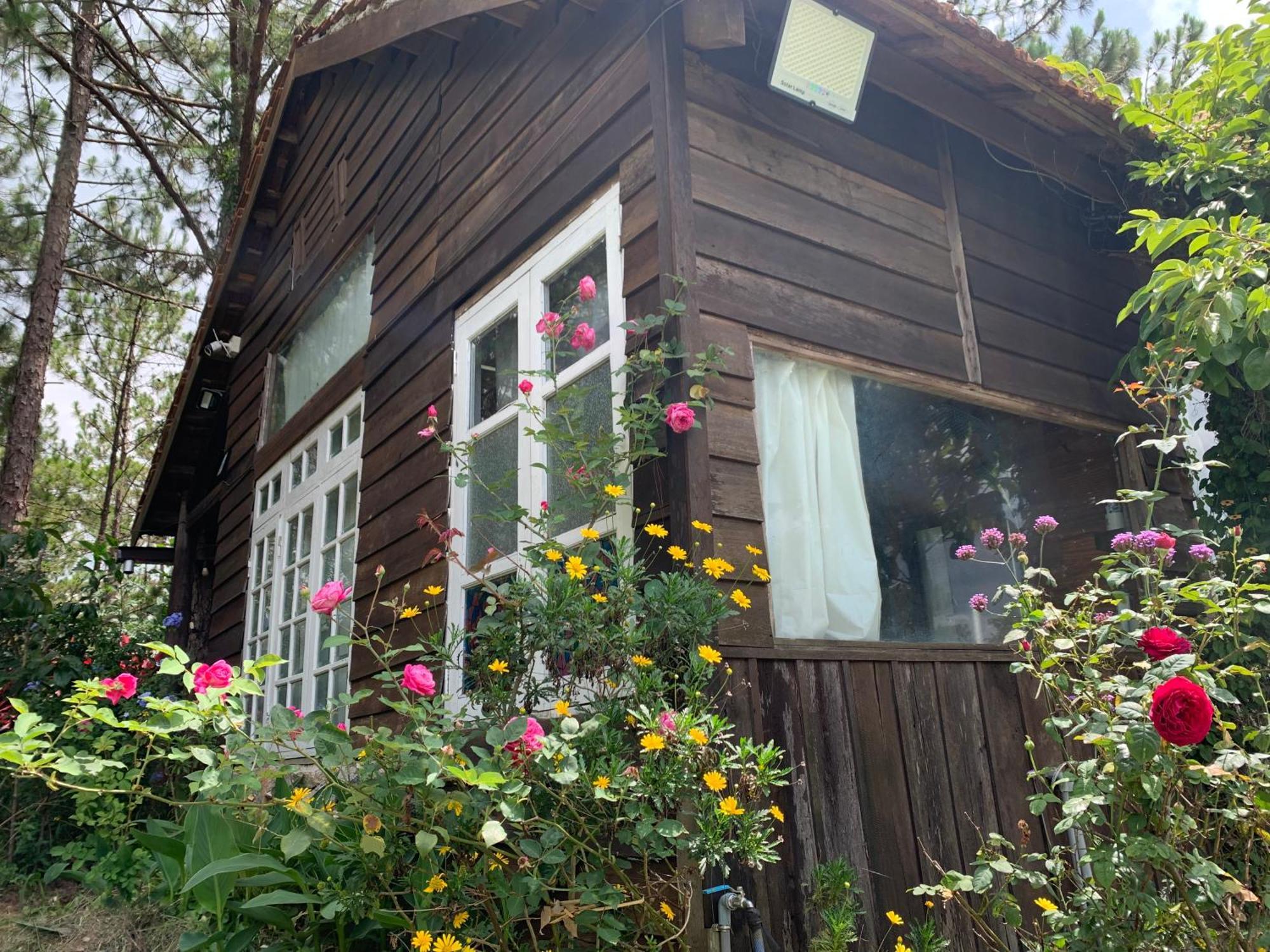 Romantic House On A Pine Hill Dalat Exterior photo