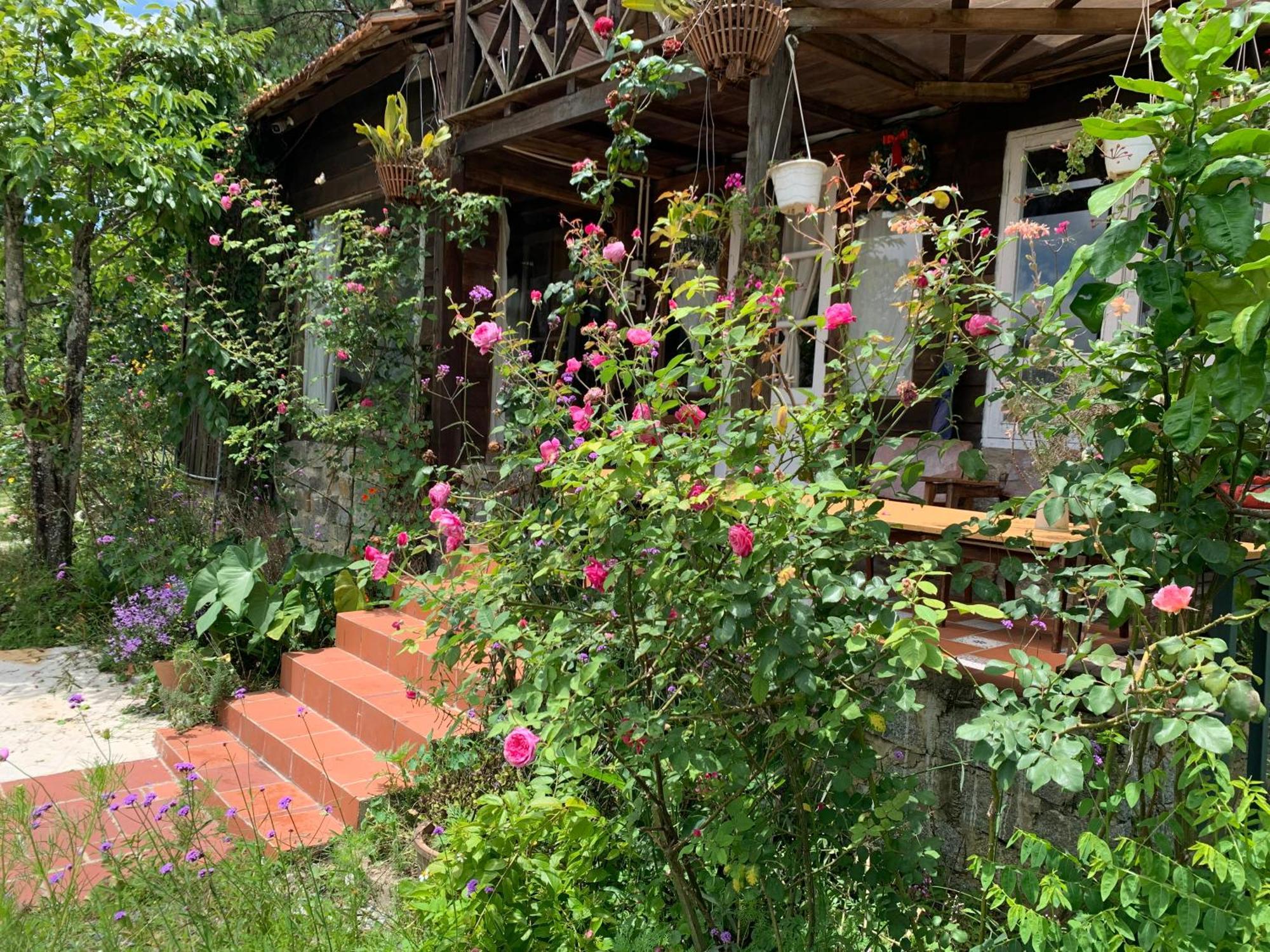 Romantic House On A Pine Hill Dalat Exterior photo
