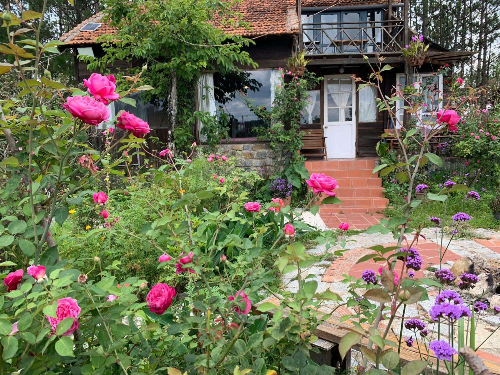 Romantic House On A Pine Hill Dalat Exterior photo